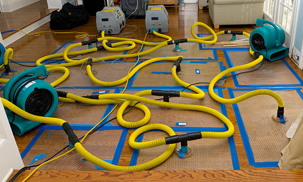 Professional Sewage Cleanup technician working in New Milford, IL